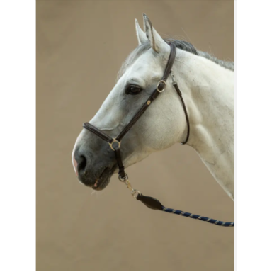 Capastru pentru ingrijire 