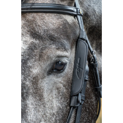 Blinkers Dy'On