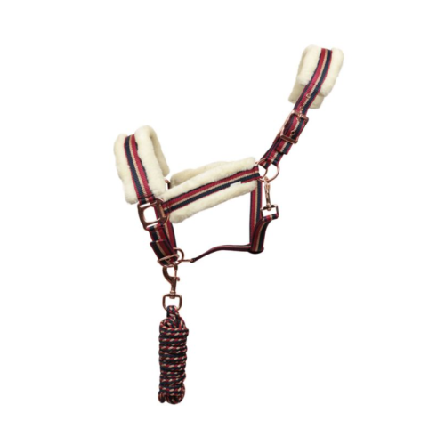 Capastru cu lesa rose gold Equityum