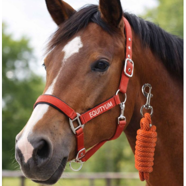 Capastru Cu Lesa Equityum Beryl 