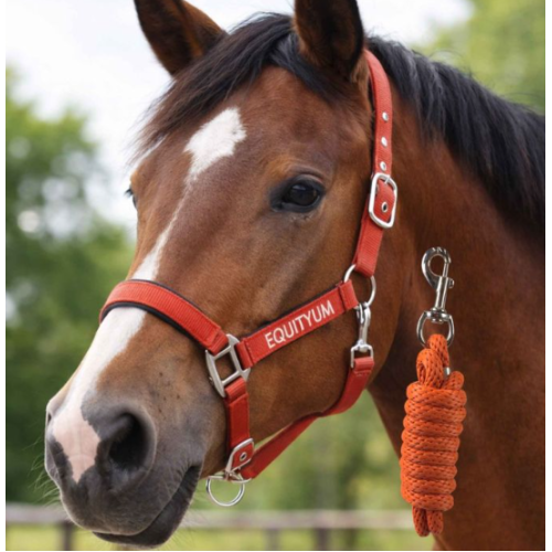 Capastru Cu Lesa Equityum Beryl 