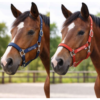 Capastru Yvonne Equityum