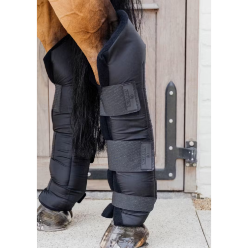 Protectii Pentru Grajd De Spate Kentucky 