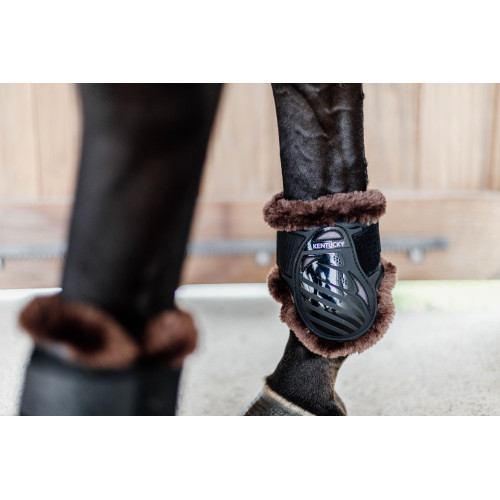 Cositori Cu  Blanita Pentru Cai Tineri  Kentucky 