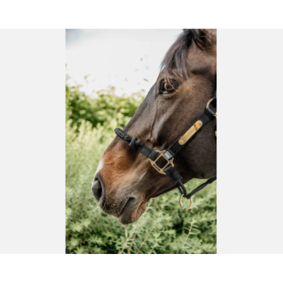 Capastru De Control Kentucky 