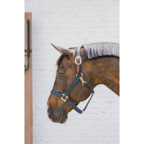 Capastru Din Nylon Kentucky 