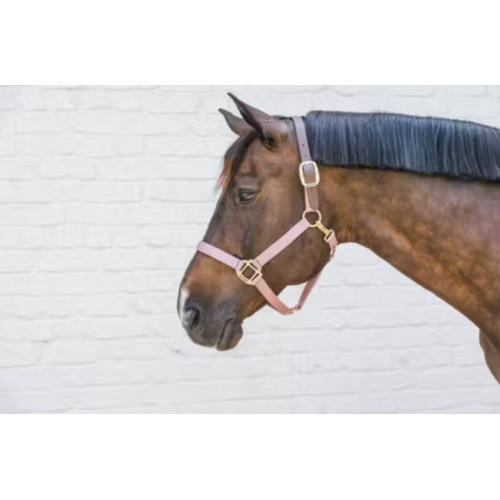 Capastru Din Nylon Kentucky 