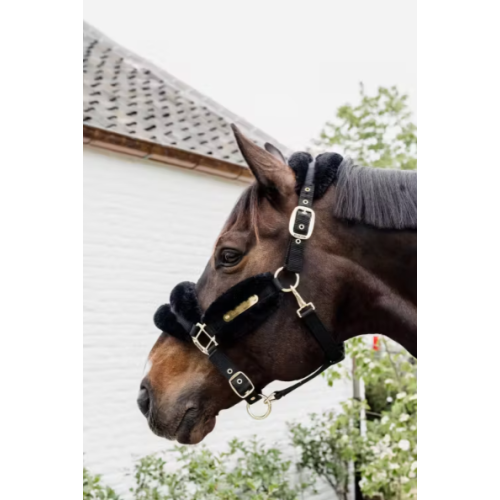 Capastru din nylon cu blanita Kentucky 