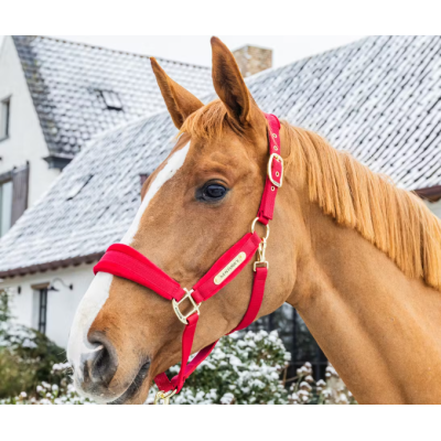 Capastru Velvet Kentucky 