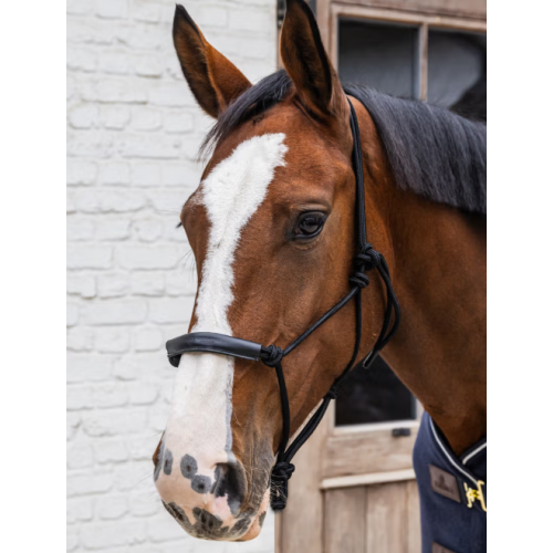 Capastru Din Franghie Kentucky 