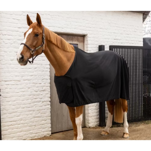 Patura Pentru Vara Kentucky 