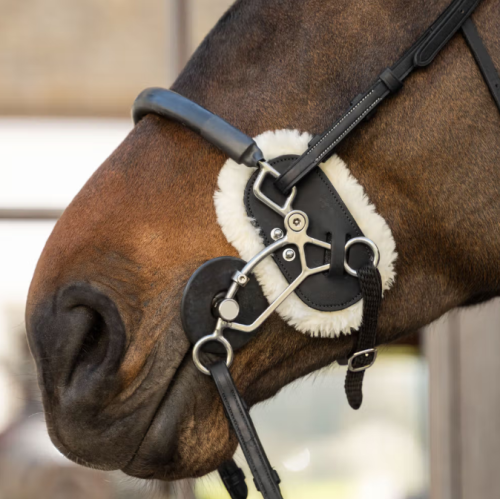Protectie Din Piele Si Blanita Pentru Hackmore Kentucky 