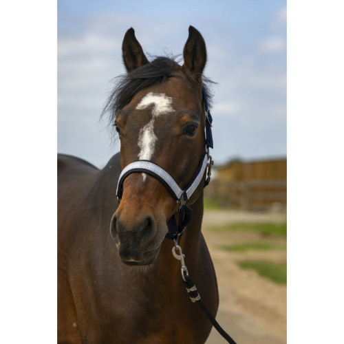 Capastru Equitheme Nylon Check