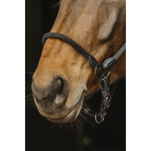 Capastru din Piele si Tesatura Tubulara Norton