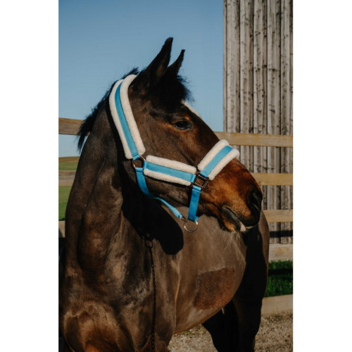 Capastru Cu Blana Sintetica Norton Comfy 