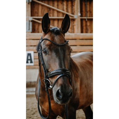 Frau Norton Royal 