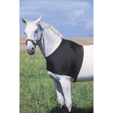 Protectie Pentru Umeri Equitheme 