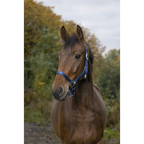 Capastru din nailon Equitheme 