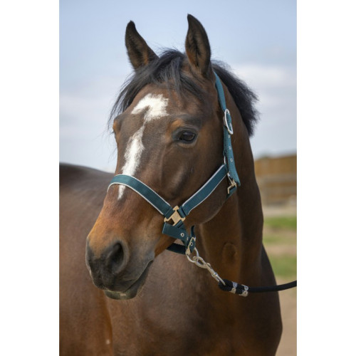 Capastru din nilon Equitheme 