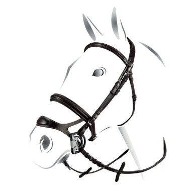 Frau Combinat Equestro