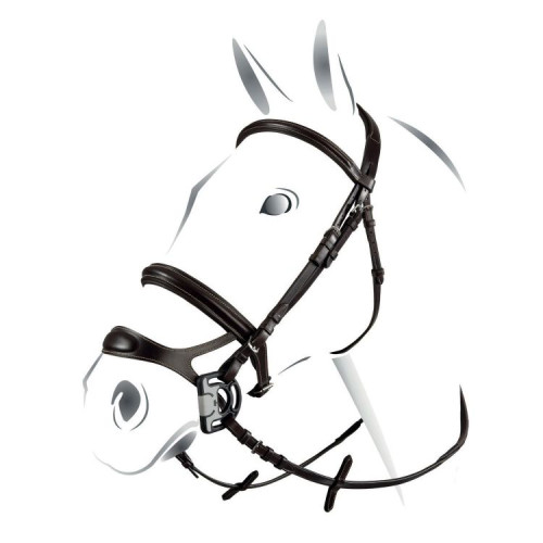 Frau Combinat Equestro