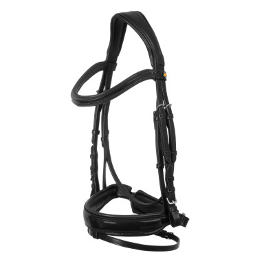 Frau Anatomic Equestro