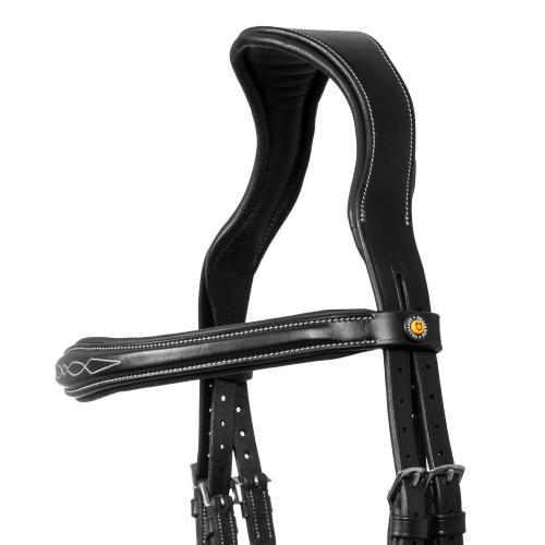 Frau Anatomic Equestro 