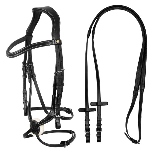 Frau Mexican Equestro