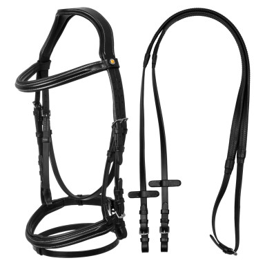 Frau Anatomic Equestro Captusit