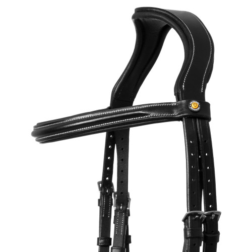 Frau Anatomic Equestro Captusit