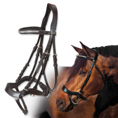 Horse Tasting pro  frau 