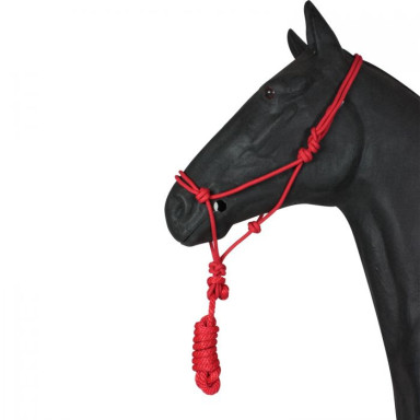 Capastru cu noduri si lesa 