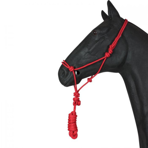 Capastru cu noduri si lesa 