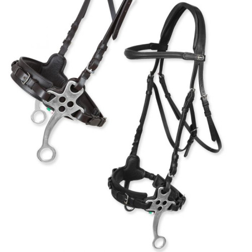 Frau Hawke Horses Hackamore