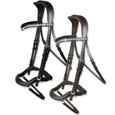 Frau   Anatomic Cristal  Horses