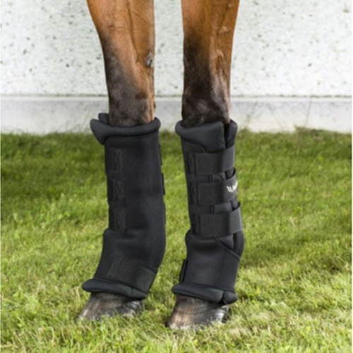 Jambieri Back on Track Royal cu Welltex®