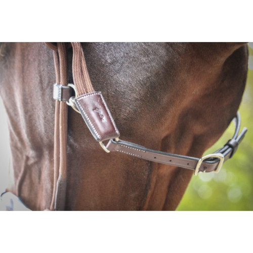 Capastru  din piele cu lesa   Penelope 