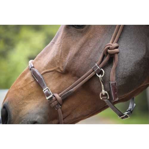 Capastru  din piele cu lesa   Penelope 