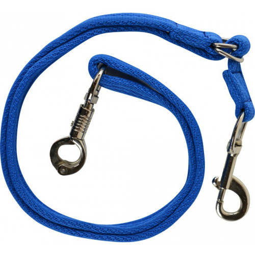 Lesa   cu carabine  de transport neon