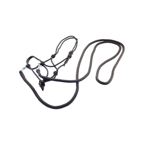 Capastru  cu darlogi 