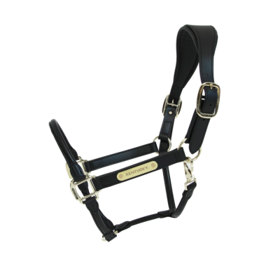 Capastru din piele anatomica Kentucky