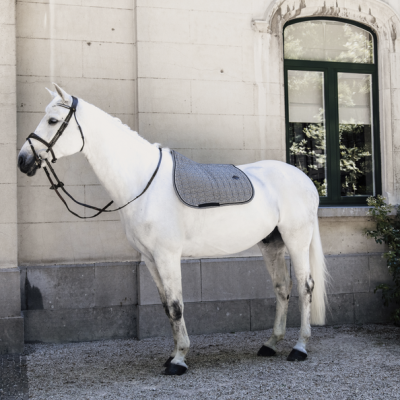 Kentucky Valtrap  Pied-de-Poule