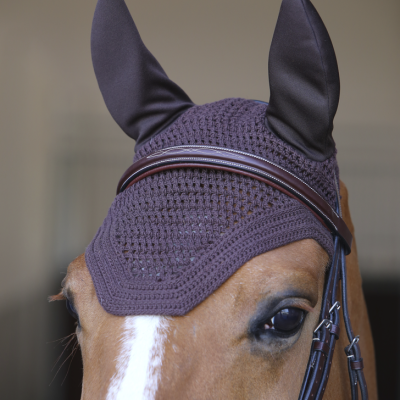 Capison  Kentucky Wellington Fly