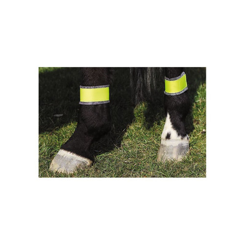 BANDEJE GALBENE NORTON PENTRU POSTERI