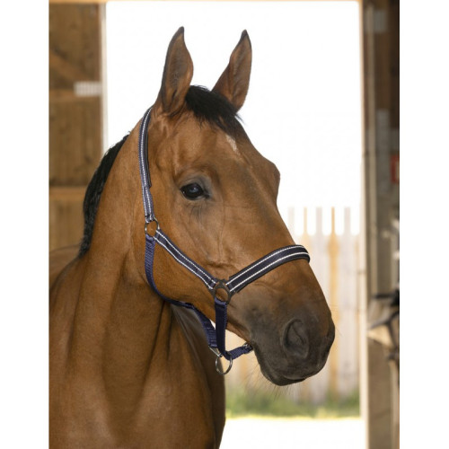 Capastru  reflectorizant