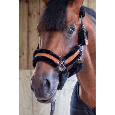 Capastru Penelope Soft 