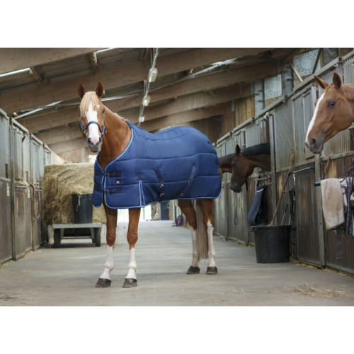 Patura Pentru Grajd Riding World 