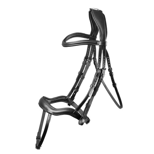 Frau Luso Anatomic Flash Shires