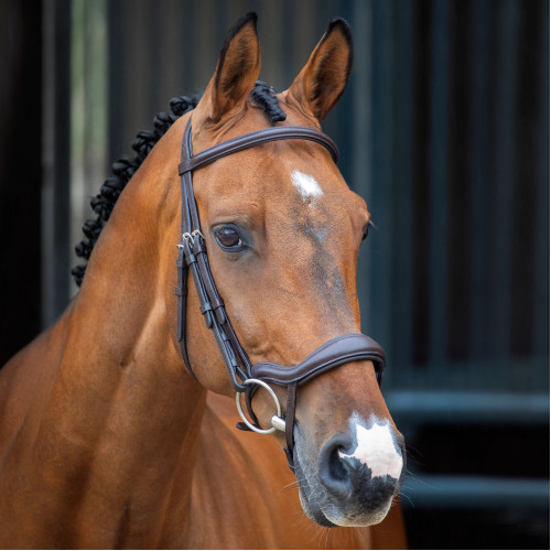 Frau Luso Anatomic Flash Shires