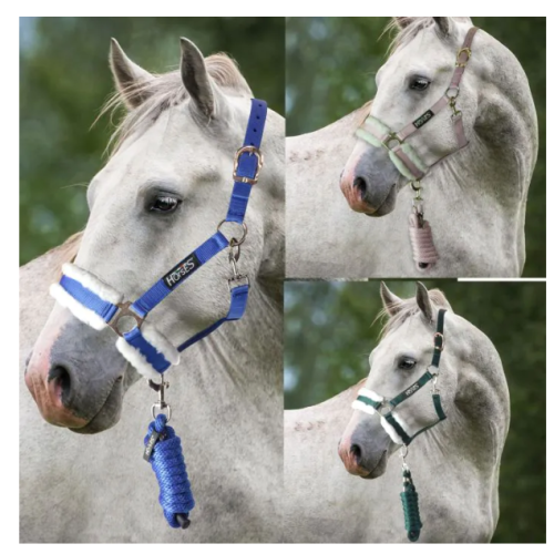 Set capastru  cu lesa Horses 